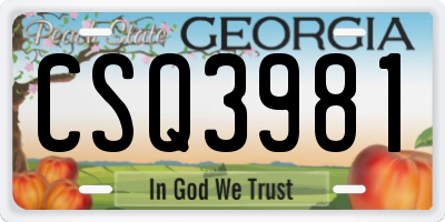 GA license plate CSQ3981