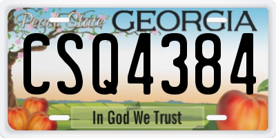 GA license plate CSQ4384
