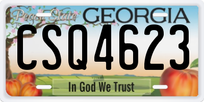 GA license plate CSQ4623