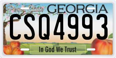 GA license plate CSQ4993