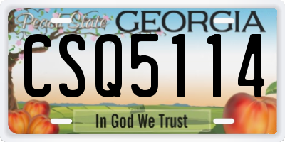 GA license plate CSQ5114