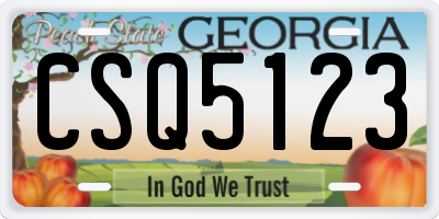 GA license plate CSQ5123
