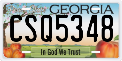 GA license plate CSQ5348