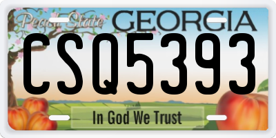 GA license plate CSQ5393