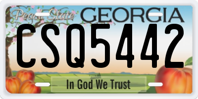 GA license plate CSQ5442