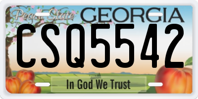 GA license plate CSQ5542