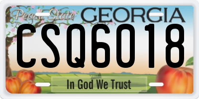 GA license plate CSQ6018