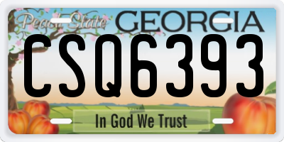 GA license plate CSQ6393