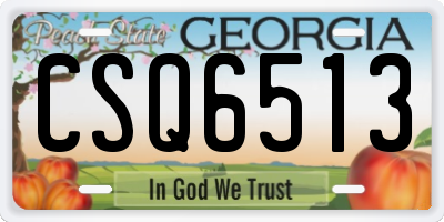GA license plate CSQ6513