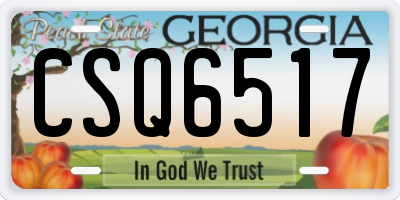 GA license plate CSQ6517