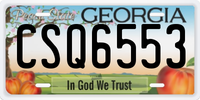 GA license plate CSQ6553