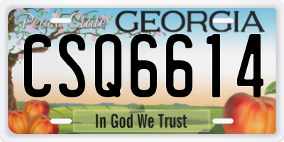 GA license plate CSQ6614