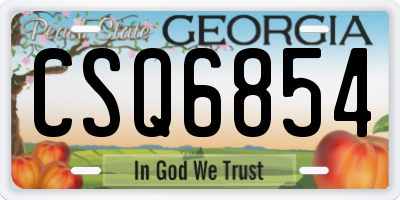 GA license plate CSQ6854