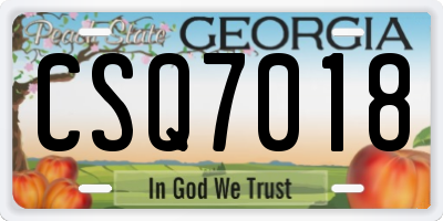 GA license plate CSQ7018