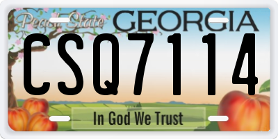 GA license plate CSQ7114