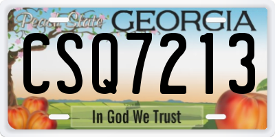 GA license plate CSQ7213