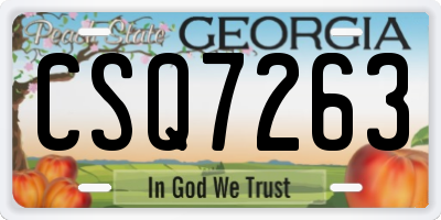 GA license plate CSQ7263