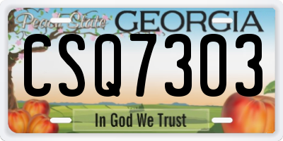 GA license plate CSQ7303