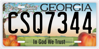 GA license plate CSQ7344