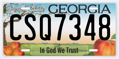 GA license plate CSQ7348