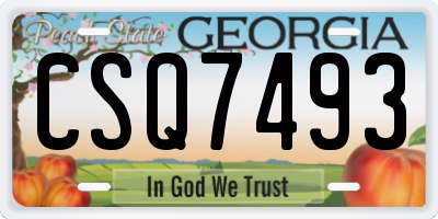 GA license plate CSQ7493