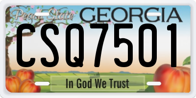 GA license plate CSQ7501