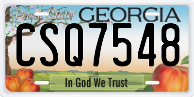 GA license plate CSQ7548