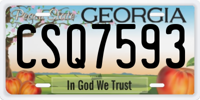 GA license plate CSQ7593
