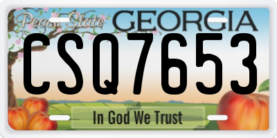 GA license plate CSQ7653