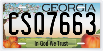 GA license plate CSQ7663