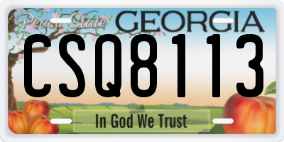 GA license plate CSQ8113