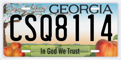 GA license plate CSQ8114