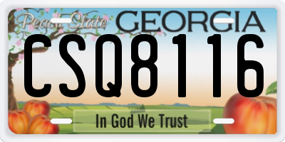 GA license plate CSQ8116