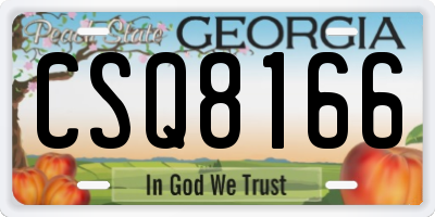 GA license plate CSQ8166