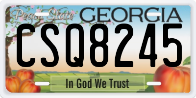 GA license plate CSQ8245