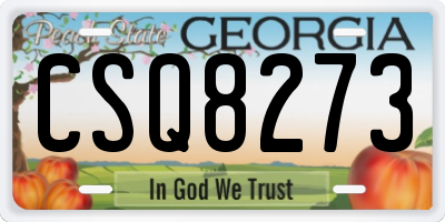 GA license plate CSQ8273