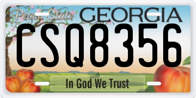 GA license plate CSQ8356