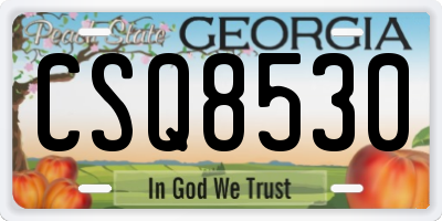 GA license plate CSQ8530