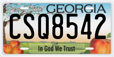 GA license plate CSQ8542