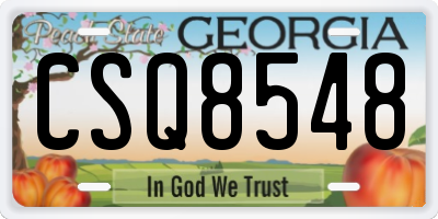 GA license plate CSQ8548