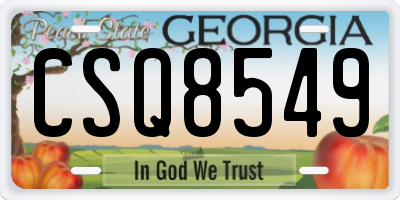GA license plate CSQ8549
