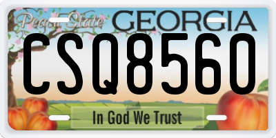 GA license plate CSQ8560