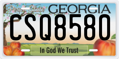 GA license plate CSQ8580