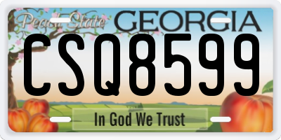GA license plate CSQ8599
