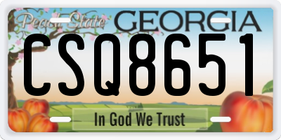 GA license plate CSQ8651