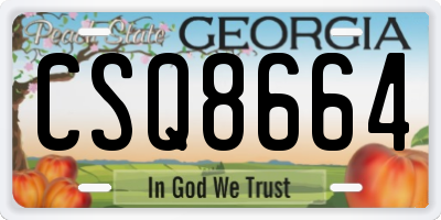 GA license plate CSQ8664