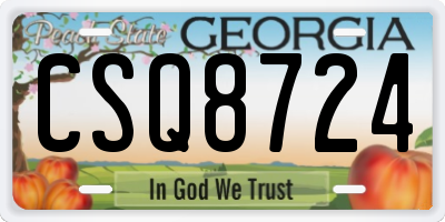 GA license plate CSQ8724