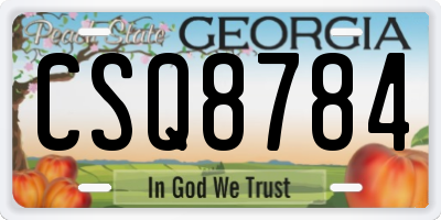 GA license plate CSQ8784