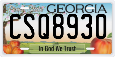 GA license plate CSQ8930