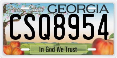 GA license plate CSQ8954